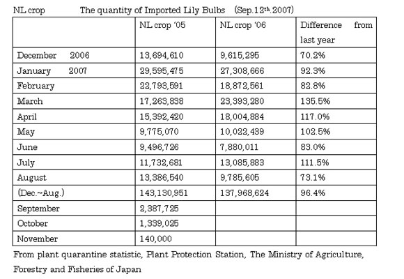 The number of imported NL crop ’06 lily bulbs to Japan in August much decreased!!! (September 12th, 2007)