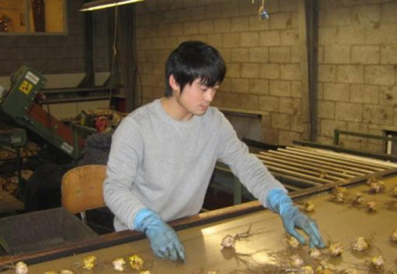 Tetsuya Kawakami　Business report in Holland(2)　（November 27th,2007）