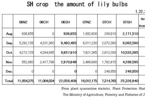 Imported lily bulbs(2007) decreased!!!　（2008/1/22）