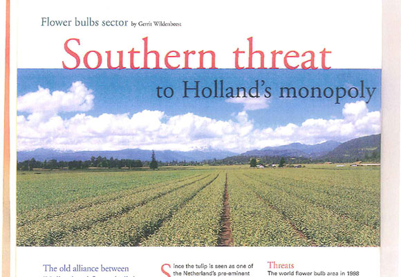 Southern threat to Holland’s monopoly（February 18th, 2008）