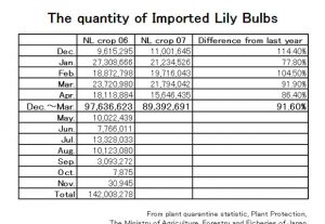 The quantity of Imported Lily Bulbs</font>（May 19th, 2008）