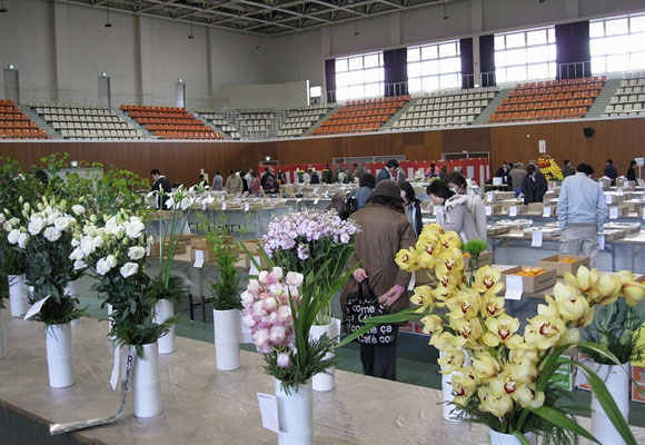 Kochi Horticultural products Contest09’(January 29th, 2009)