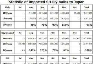 Statistic of imported SH lily bulbs to Japan（December 15th, 2009）