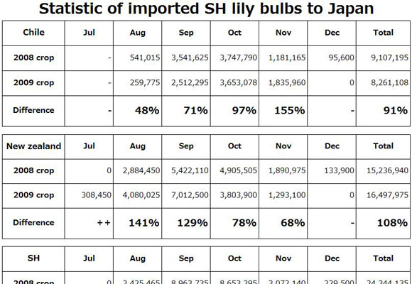 Statistic of imported SH lily bulbs to Japan（December 15th, 2009）