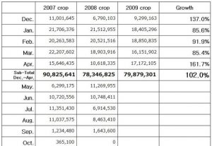 Statistic of imported NL lily bulbs to Japan</font>（May 13, 2010）