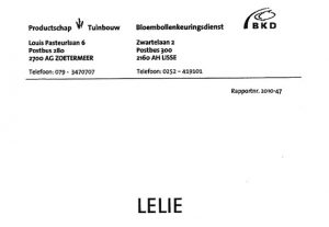 The production area list of 2010 lily bulb in Holland 【Original language version】（7/23/2010）