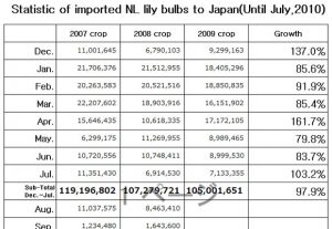 Statistic of imported NL lily bulbs to Japan（Aug 17th, 2010）