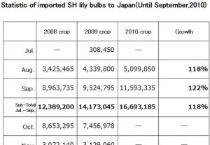 Statistic of imported SH lily bulbs to Japan（Oct 20th, 2010）