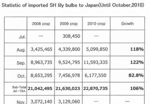 Statistic of imported SH lily bulbs to Japan（Nov 16th, 2010）