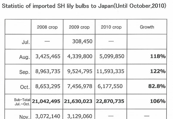 Statistic of imported SH lily bulbs to Japan（Nov 16th, 2010）