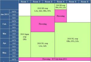 Schedule of our test greenhouse（until June, 2011） （2010/12/28）