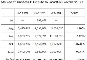 Statistic of imported SH lily bulbs to Japan（Dec 13th, 2010）