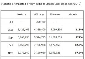 Statistic of imported SH lily bulbs to Japan（Jun 18th, 2011）