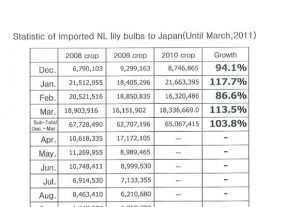 Statistic of imported NL lily bulbs to Japan（Apr 11th, 2011）