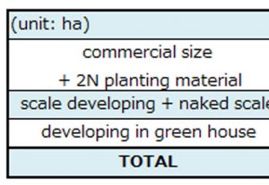 2011 NL Crop Situation Report　（2011/8/5）