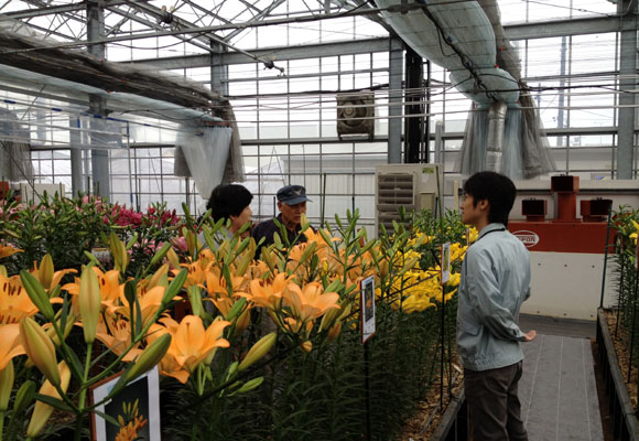 Special thanks for your kind visit to Open day of our test green house(November 23rd,2011）