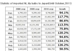 Statistic of imported NL lily bulbs to Japan（November 14th, 2011）