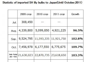 Statistic of imported SH lily bulbs to Japan（November 14th, 2011）