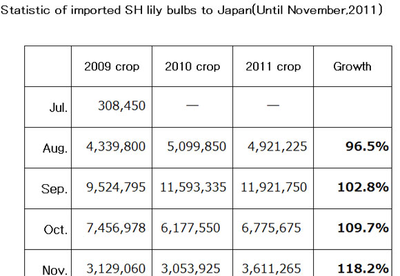 Statistic of imported SH lily bulbs to Japan（December 15th, 2011）