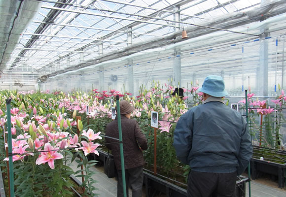 Special thanks for your kind visit to Open day of our test green house(February 10th,2012）