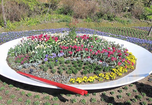 “Hanasawachi” started at Makino Botanical Garden（3/7/2012）