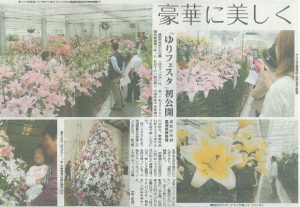 Lily Festa Article in Newspapers　（June 20th, 2012）