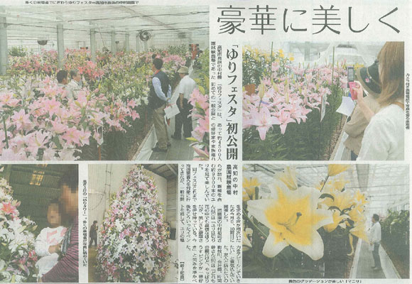 Lily Festa Article in Newspapers　（June 20th, 2012）