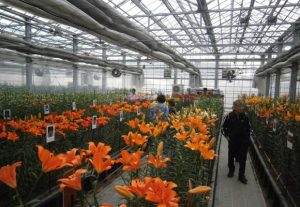 Special thanks for your kind visit to Open day of our test green house(November 10th,2012）