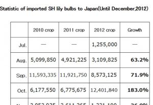 Statistic of imported SH lily bulbs to Japan（January 22, 2013）