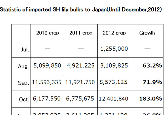 Statistic of imported SH lily bulbs to Japan（January 22, 2013）