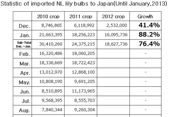Statistic of imported NL lily bulbs to Japan（February 18, 2013）