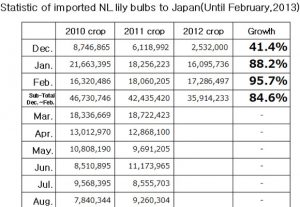 Statistic of imported NL lily bulbs to Japan（March 11, 2013）