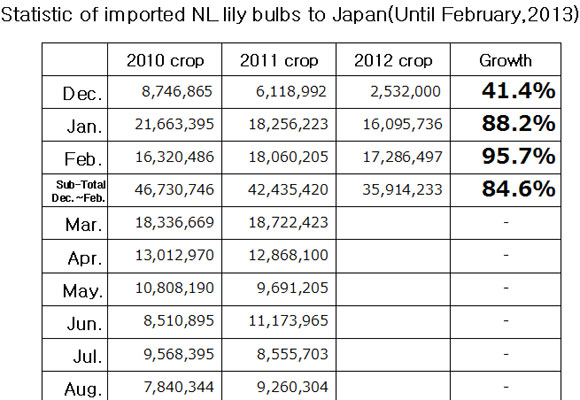 Statistic of imported NL lily bulbs to Japan（March 11, 2013）