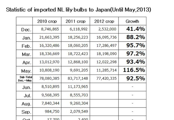 Statistic of imported NL lily bulbs to Japan（June 11, 2013）