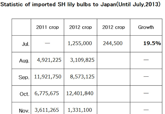 Statistic of imported SH lily bulbs to Japan（August 12, 2013）