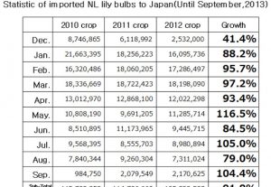 Statistic of imported NL lily bulbs to Japan（October 16, 2013）