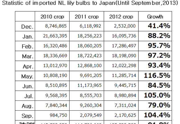 Statistic of imported NL lily bulbs to Japan（October 16, 2013）