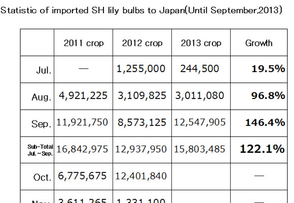 Statistic of imported SH lily bulbs to Japan（October 16, 2013）