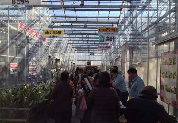 Special thanks for your kind visit to Open day of our test green house(November 30,2013）