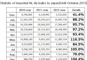 Statistic of imported NL lily bulbs to Japan（November 12, 2013）