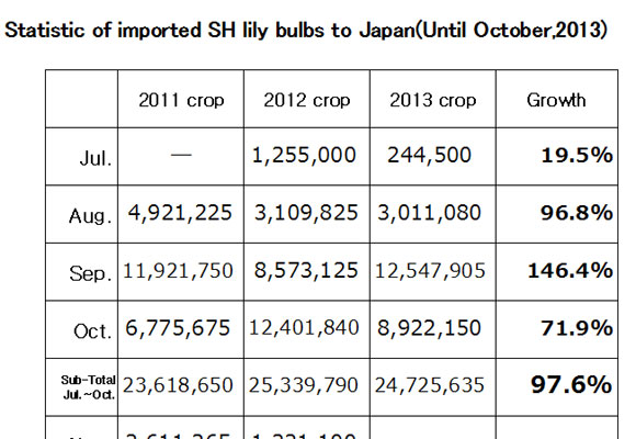 Statistic of imported SH lily bulbs to Japan（November 12, 2013）