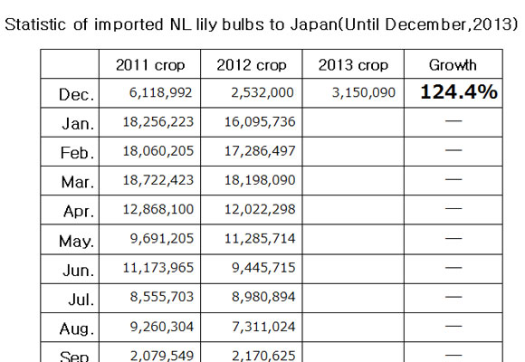 Statistic of imported NL lily bulbs to Japan（January 14, 2014）