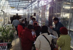 Special thanks for your kind visit to Open day of our test green house(February 11,2014）