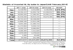 Statistic of imported NL lily bulbs to Japan(Until February,2014) （March 18,2014）