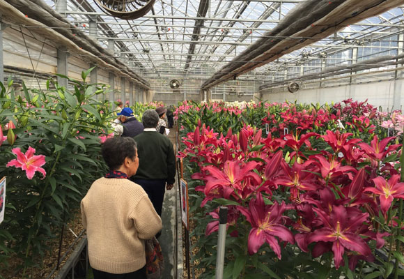 Special thanks for your kind visit to Open day of our test green house (November 24, 2014）