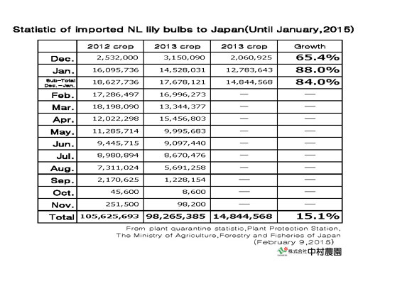 Statistic of imported NL lily bulbs to Japan(Until Jan,2015) （Feb 9, 2015）