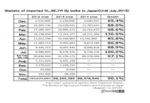 Statistic of imported NL,BE,FR lily bulbs to Japan(Until July, 2015) （Aug 10, 2015）