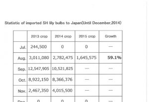 Statistic of imported SH lily bulbs to Japan(Until Aug,2014) （Sep 7, 2015）
