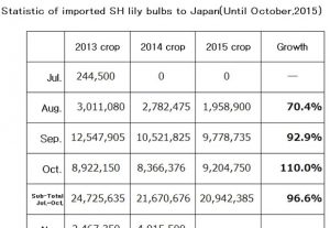 Statistic of imported SH lily bulbs to Japan(Until Oct,2015) （Nov 11, 2015）