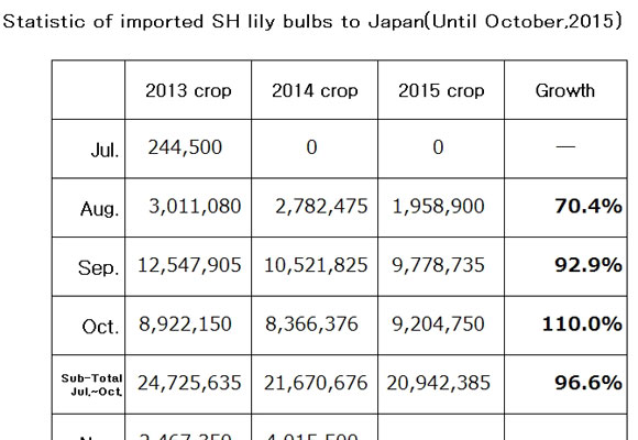 Statistic of imported SH lily bulbs to Japan(Until Oct,2015) （Nov 11, 2015）